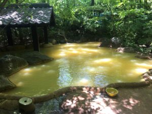 筌の口温泉 旅館 新清館