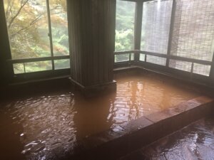 山の宿 明治温泉 御射鹿の湯